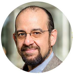 Dr. Adel El Messiry